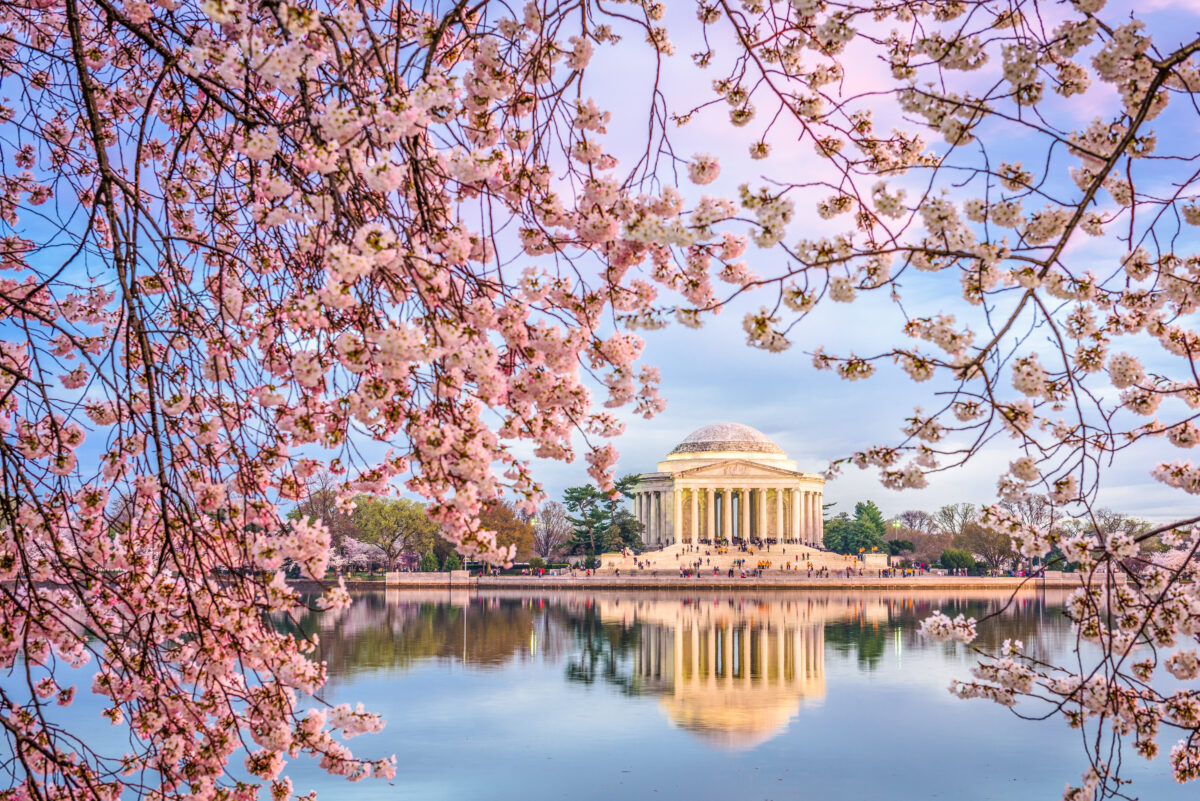 Washington D.C. cherry blossoms shutterstock 1028728435 | These U.S. Flower Bloom Spots Make Regular Spring Trips Look Lazy