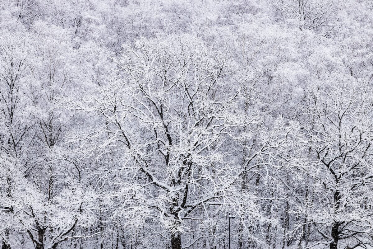 Yakutsk Russia shutterstock 2581053723 | Where Are the World’s Coldest Cities? A Traveler’s Guide to the Deep Freeze