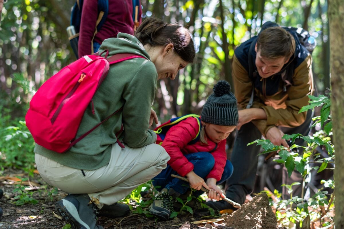 family trail shutterstock 2762329983 | Boston Nature Center Family Guide: Trails, Gardens and Nature Play