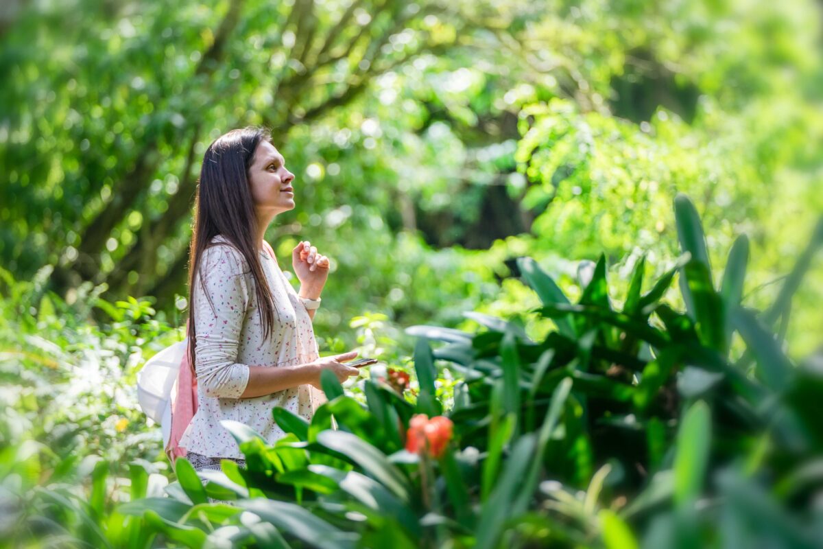 A woman admires the greenery in a sunlit garden, surrounded by vibrant plants and flowers.