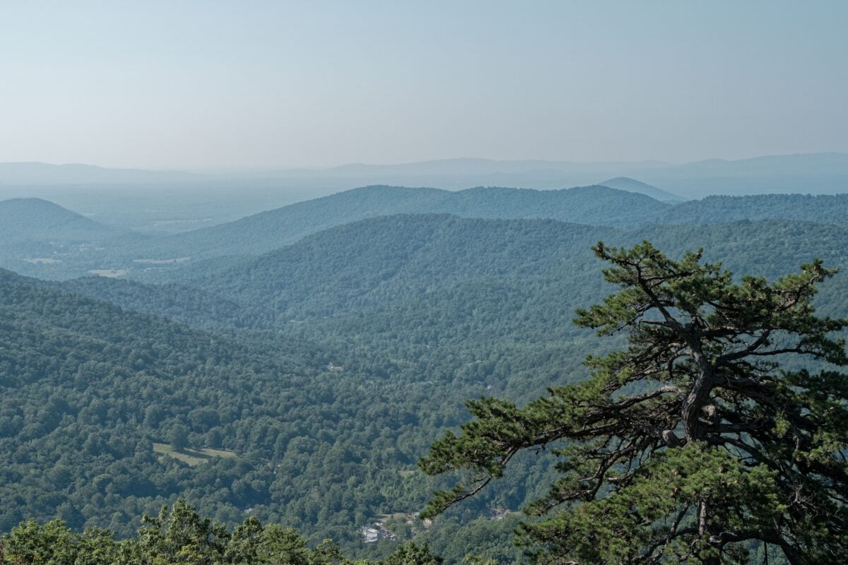 Serene view of lush green mountains in Shenandoah National Park, Luray, VA.
