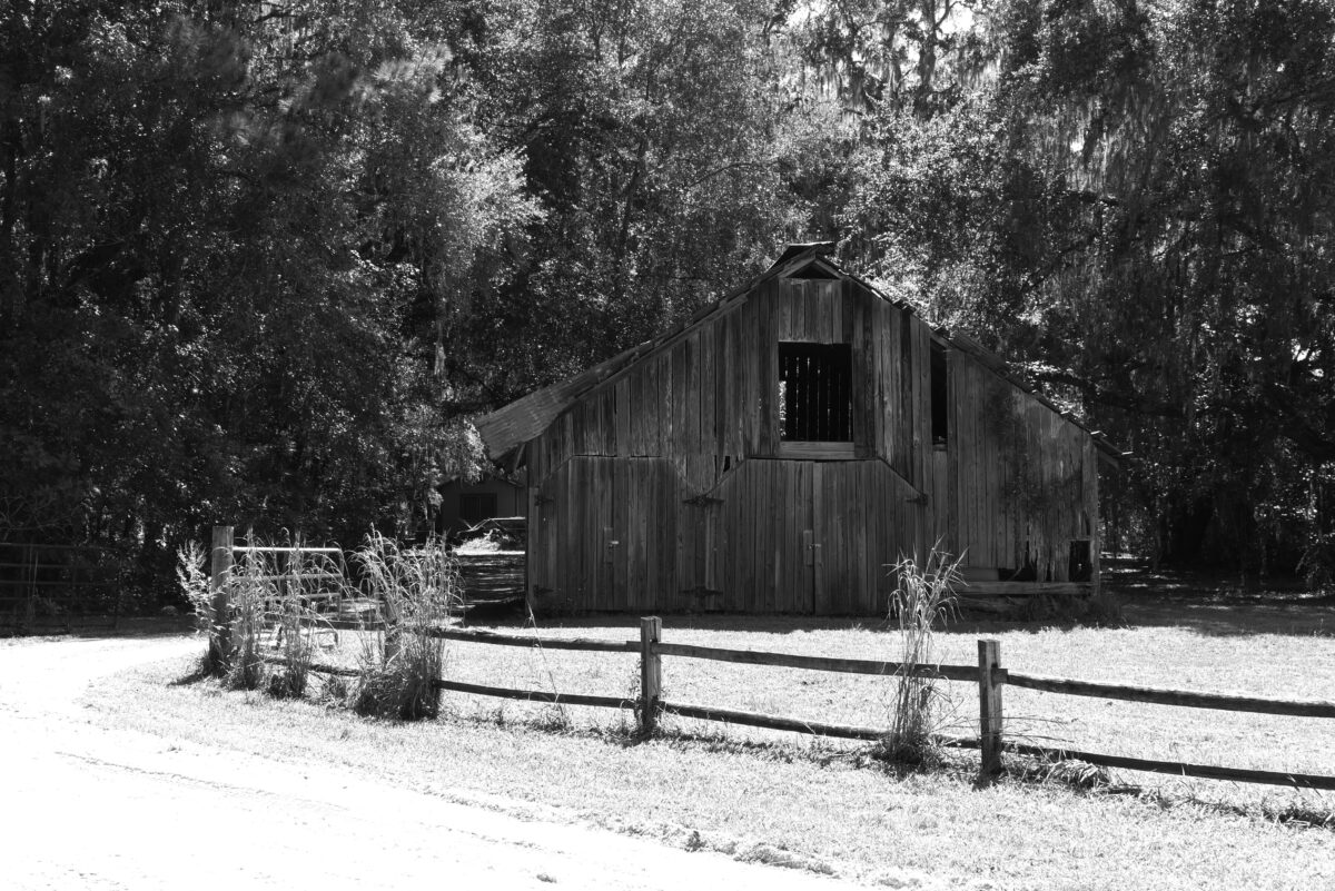 pexels 29820495 | Two Scots Abroad Black and white photo of an old barn in Micanopy, Florida, USA.