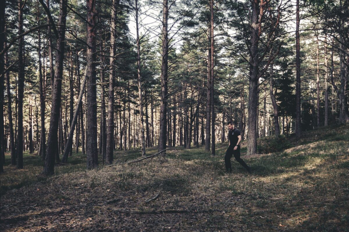 A man strolls through a peaceful pine forest in Užava, Latvia, enjoying nature's tranquility.