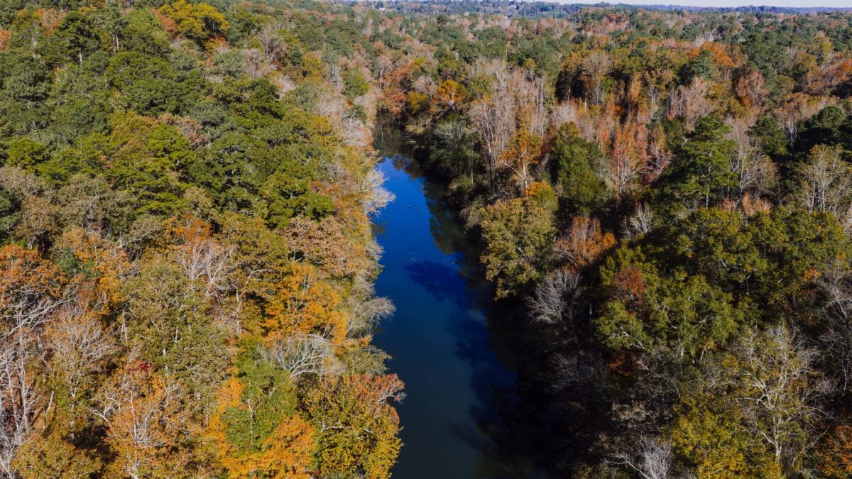 Aerial view of colorful autumn trees and river in Birmingham, Alabama.