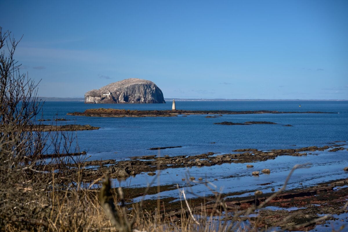 pexels 35063036 | Two Scots Abroad Capture of the serene Bass Rock in Scotland with clear blue skies and calm waters showcasing natural beauty.