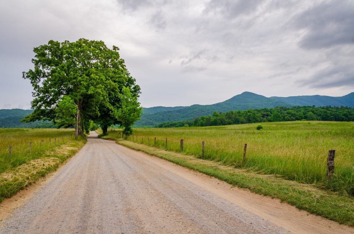 shutterstock 2394340849 | The Appalachian Trail Is Wilder, Longer, and Stranger Than Most Hikers Realize