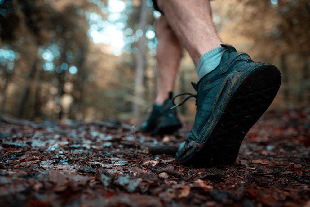 shutterstock 2475736679 | Two Scots Abroad shutterstock 2475736679 | Price’s Scrub State Park In Florida: Free Hiking Trails, Wildlife, And What To Know Before You Go