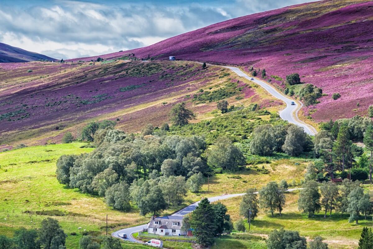 Cairngorms National Park shutterstock 726100102 | Two Scots Abroad Cairngorms National Park shutterstock 726100102 | Is Scotland in February Worth It? Yes, If You Plan for Winter
