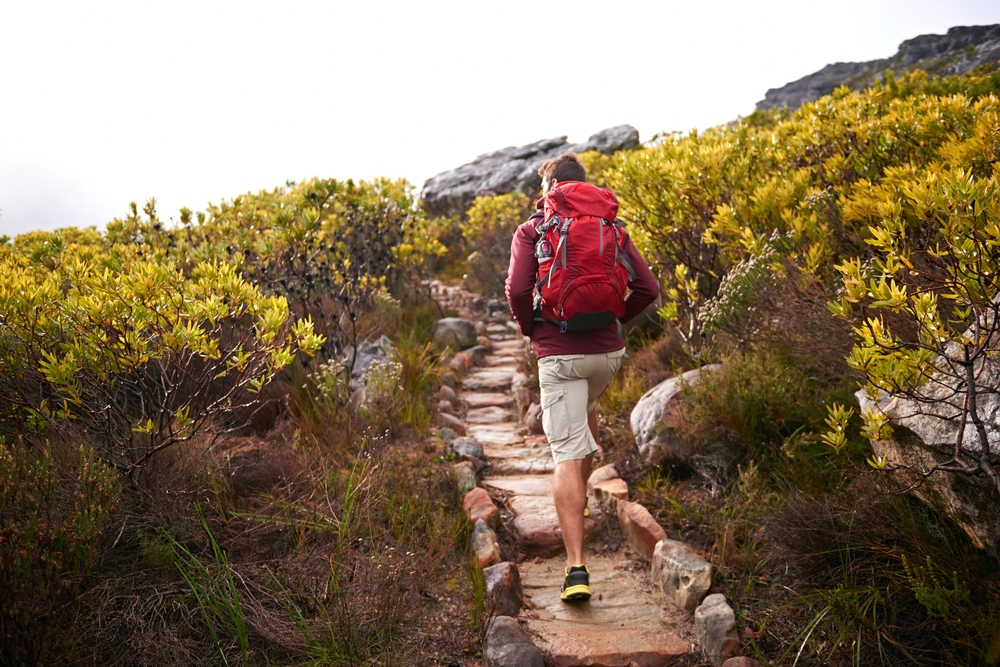 Essential Hiking Accessories for Beginners What You Actually Need shutterstock 2462362559 | Essential Hiking Accessories for Beginners: What You Actually Need