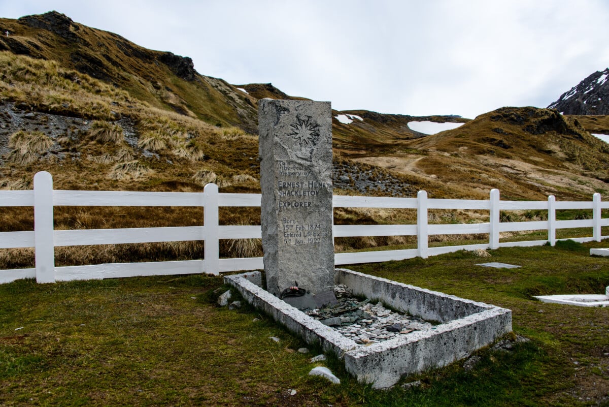 King Penguins and Shackletons Grave shutterstock 1036178560 | 5 Adventure Bucket List Destinations for Your Next Big Trip
