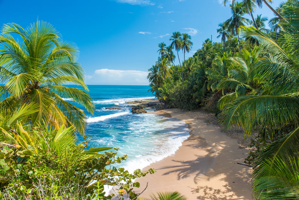 2 Week Costa Rica Itinerary Pacific and Caribbean Coasts shutterstock 445370506 | Two Scots Abroad 2-Week-Costa-Rica-Itinerary-Pacific-and-Caribbean-Coasts-