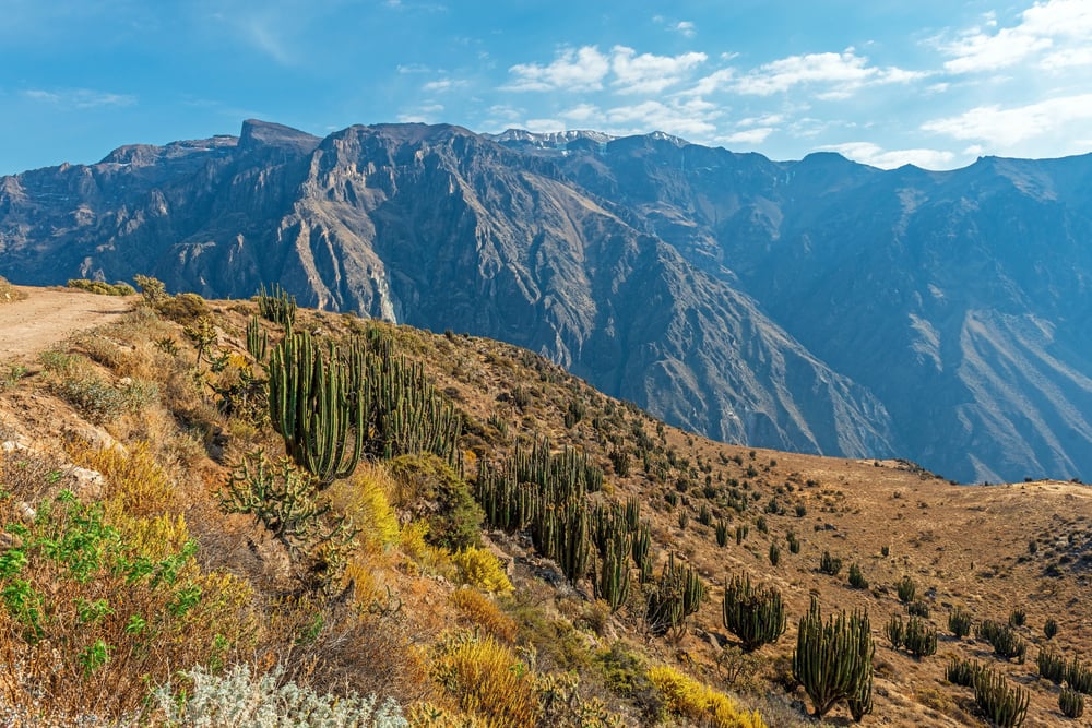 Colca Canyon Arequipa Region shutterstock 1807678078 | 5 Breathtaking Canyons Around the World You Have to See to Believe