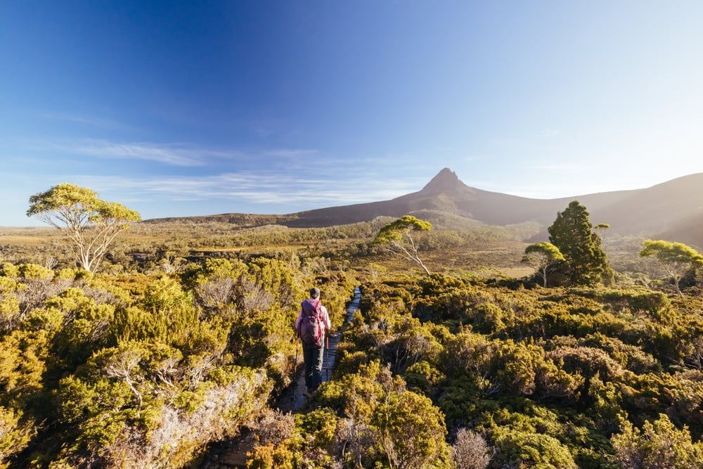 Is Tasmania Worth Visiting The Best Places Experiences and Drawbacks shutterstock 2622947213 | Is Tasmania Worth Visiting? The Best Places, Experiences, and Drawbacks
