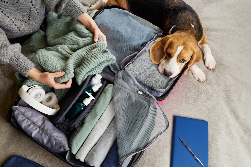 Pack Your Contact Lens Supplies Before You Leave shutterstock 2393582685 | Two Scots Abroad Pack Your Contact Lens Supplies Before You Leave shutterstock 2393582685 | Traveling With Contacts: Practical Tips for On-the-Go Lens Care