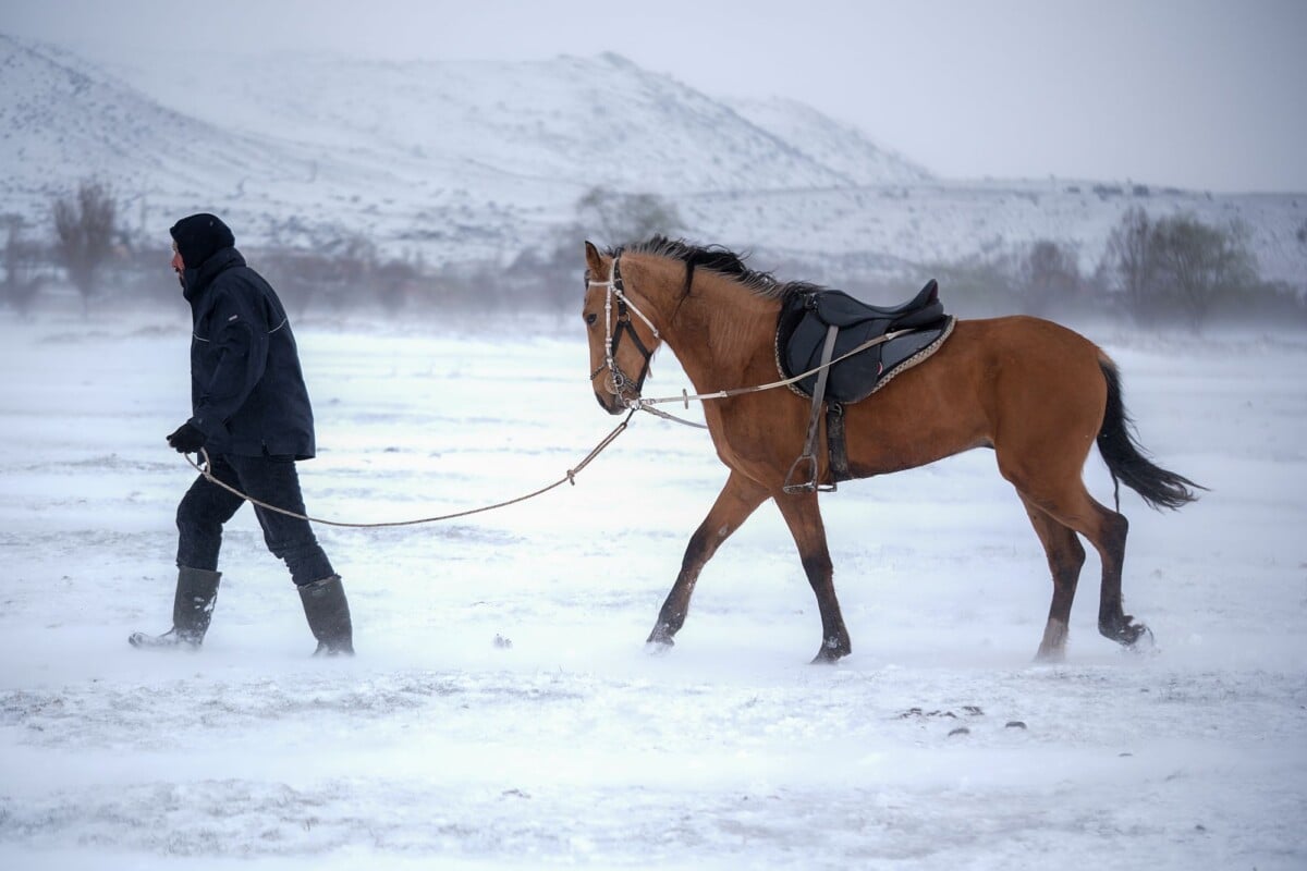 A person leads a horse across a snow-covered landscape in wintry weather.