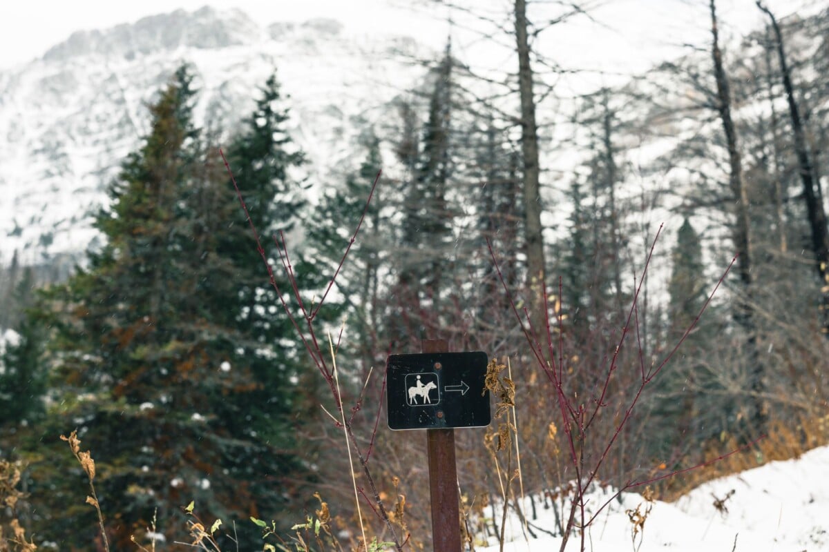 a scenic winter hiking trail in waterton park alberta marked by a sign perfect f | Two Scots Abroad A scenic winter hiking trail in Waterton Park, Alberta, marked by a sign. Perfect for adventure and nature enthusiasts.
