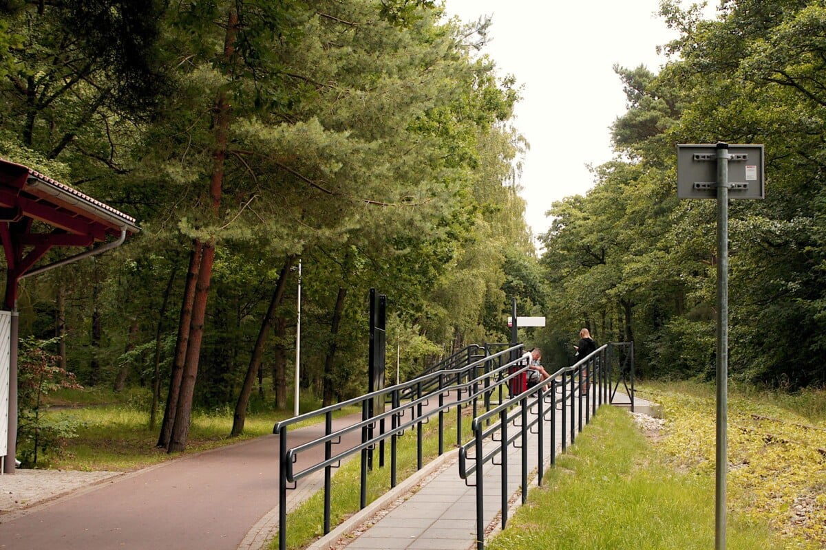 a serene forest path with a railing and walking trail surrounded by lush trees | Two Scots Abroad A serene forest path with a railing and walking trail surrounded by lush trees.