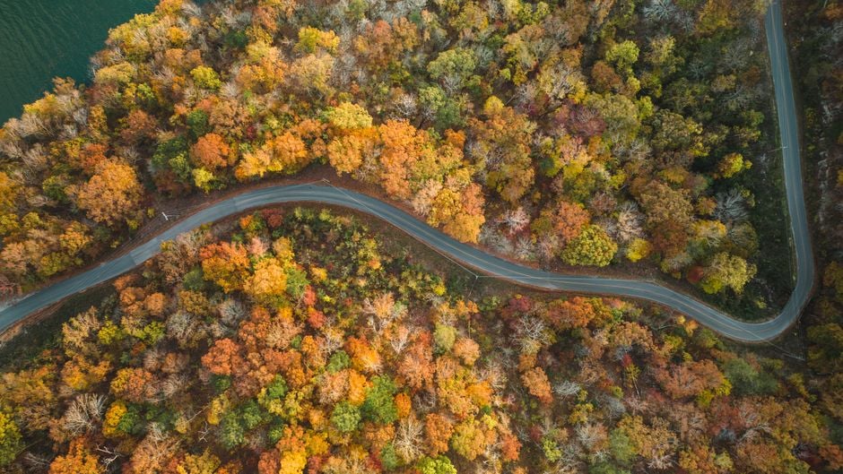 a stunning aerial photo showcasing a winding road through vibrant fall foliage i | Two Scots Abroad A stunning aerial photo showcasing a winding road through vibrant fall foliage in Whitwell, Tennessee.