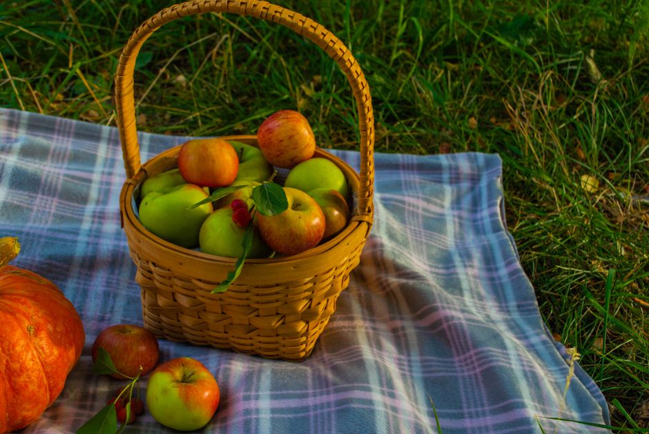 basket of apples on a plaid blanket with pumpkin in a grassy field embodying aut | Two Scots Abroad Basket of apples on a plaid blanket with pumpkin in a grassy field, embodying autumn vibes.