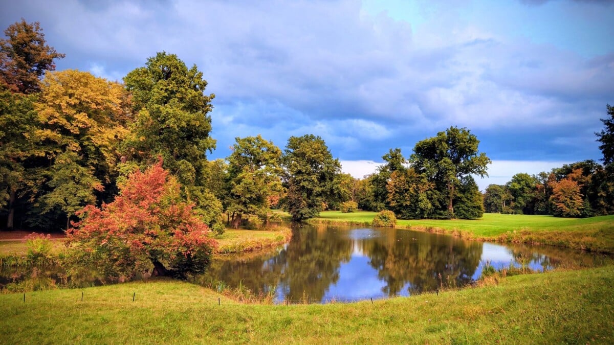 beautiful autumn landscape in bad muskau with reflective pond and colorful trees | Two Scots Abroad Beautiful autumn landscape in Bad Muskau with reflective pond and colorful trees under a blue sky.