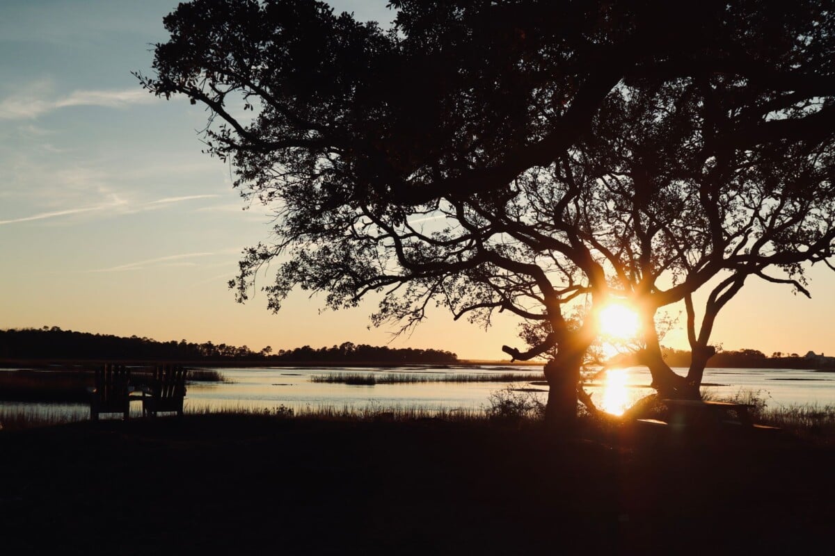Beautiful sunset over Charleston marshes with silhouette of trees and water reflections.