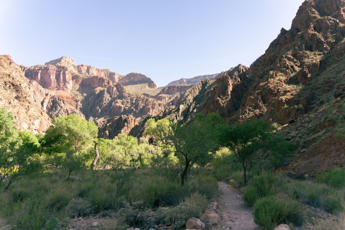 Breathtaking view of North Rim in the Grand Canyon with lush greenery and rugged cliffs.
