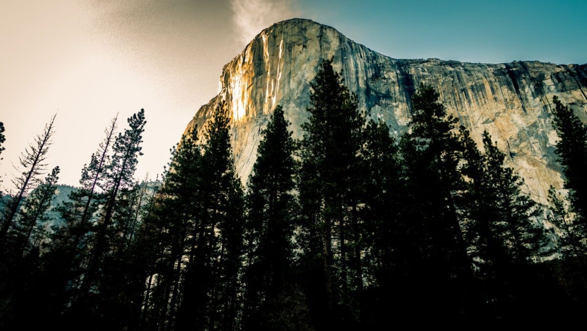 el capitans majestic granite face with silhouetted pine trees during sunset in y | Two Scots Abroad El Capitan's majestic granite face with silhouetted pine trees during sunset in Yosemite National Park.