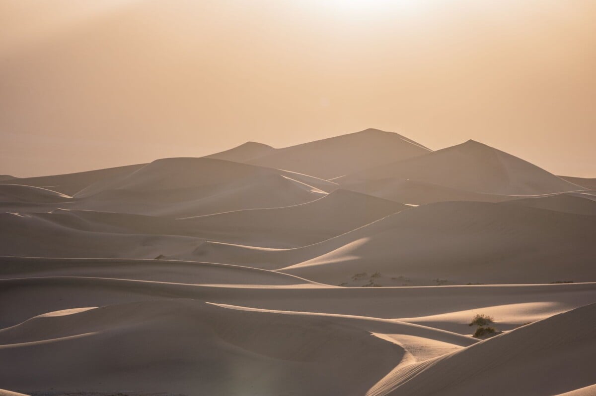 Expansive sand dunes under a warm desert sun, showcasing the serene desert landscape.