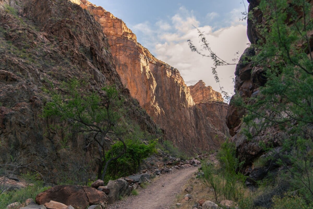 explore the rugged beauty of the grand canyons iconic hiking trail with stunning | Two Scots Abroad Explore the rugged beauty of the Grand Canyon's iconic hiking trail with stunning canyon vistas and vibrant desert flora.