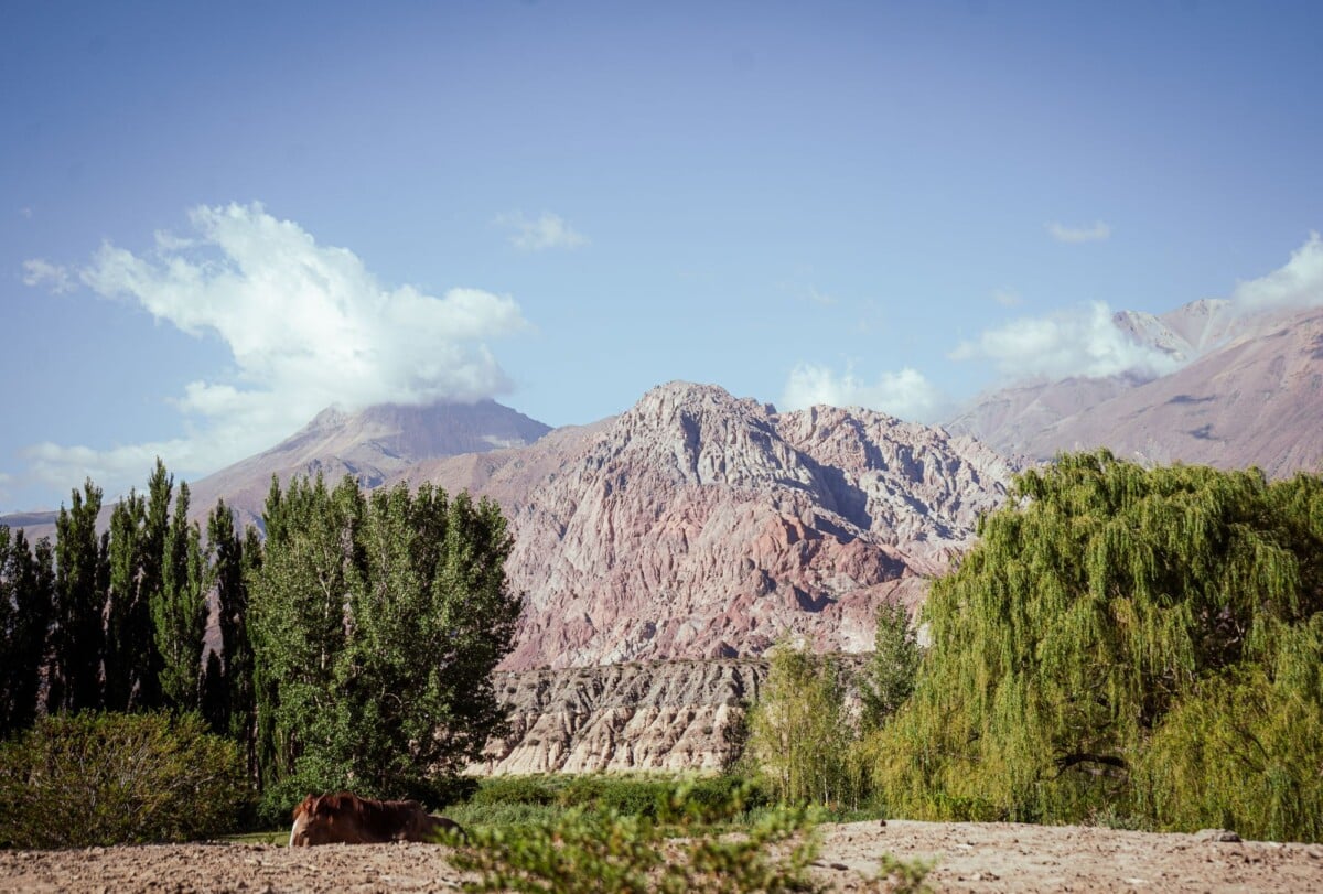 scenic view of uspallatas mountainous terrain with lush greenery located in mend | Two Scots Abroad Scenic view of Uspallata's mountainous terrain with lush greenery, located in Mendoza, Argentina.