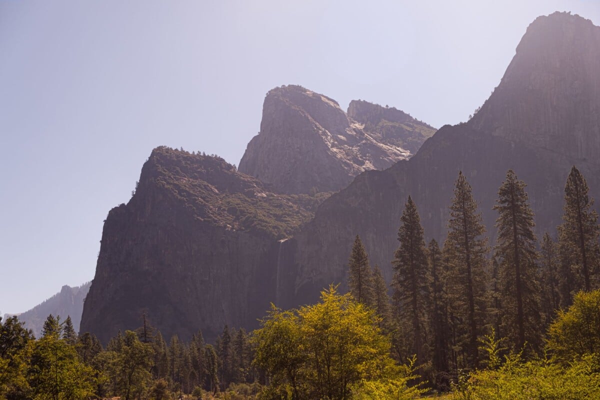 Sunlit Yosemite Valley with coniferous trees and rocky mountains in summer.