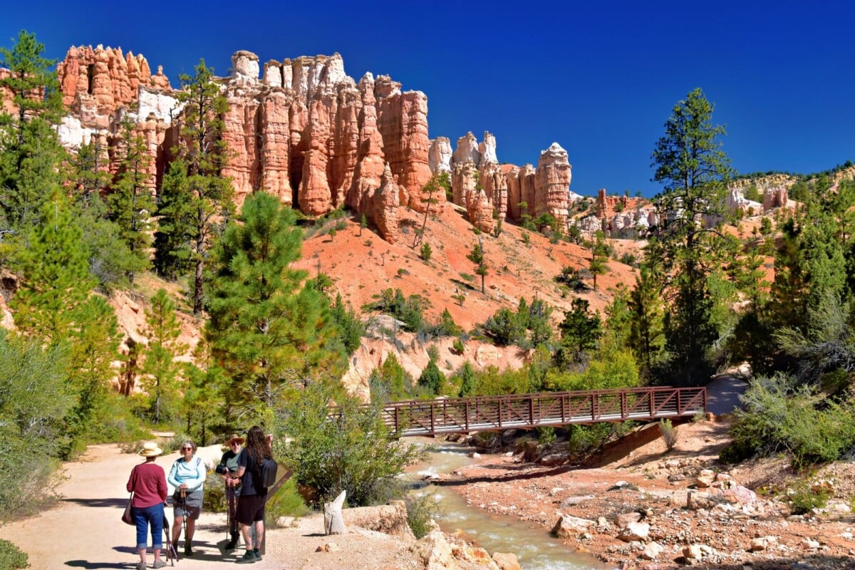 tourists explore the beautiful bryce canyon landscape with vibrant hoodoos | Two Scots Abroad Tourists explore the beautiful Bryce Canyon landscape with vibrant hoodoos.