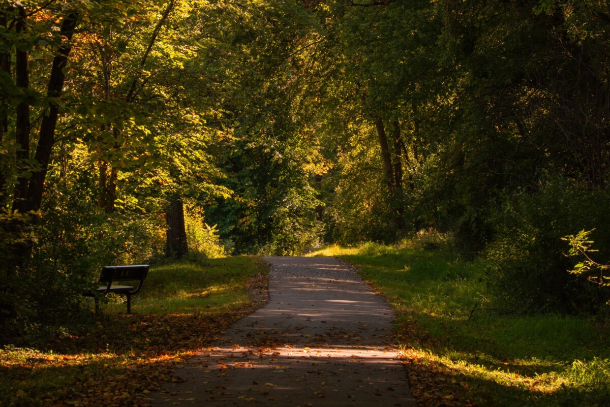 tranquil fall scene with a leaf covered path and bench in menomonie wisconsin | Two Scots Abroad Tranquil fall scene with a leaf-covered path and bench in Menomonie, Wisconsin.