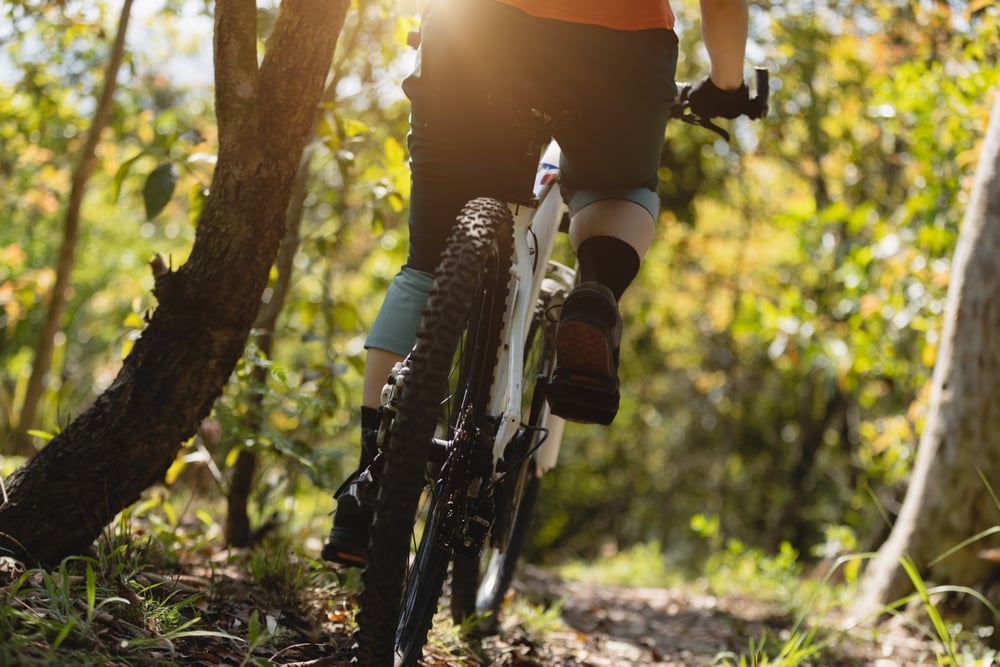 Cycling and Mountain Biking Breaks Routes and Trail Centres shutterstock 2452508781 | UK Activity Breaks: How to Choose One and Where to Stay