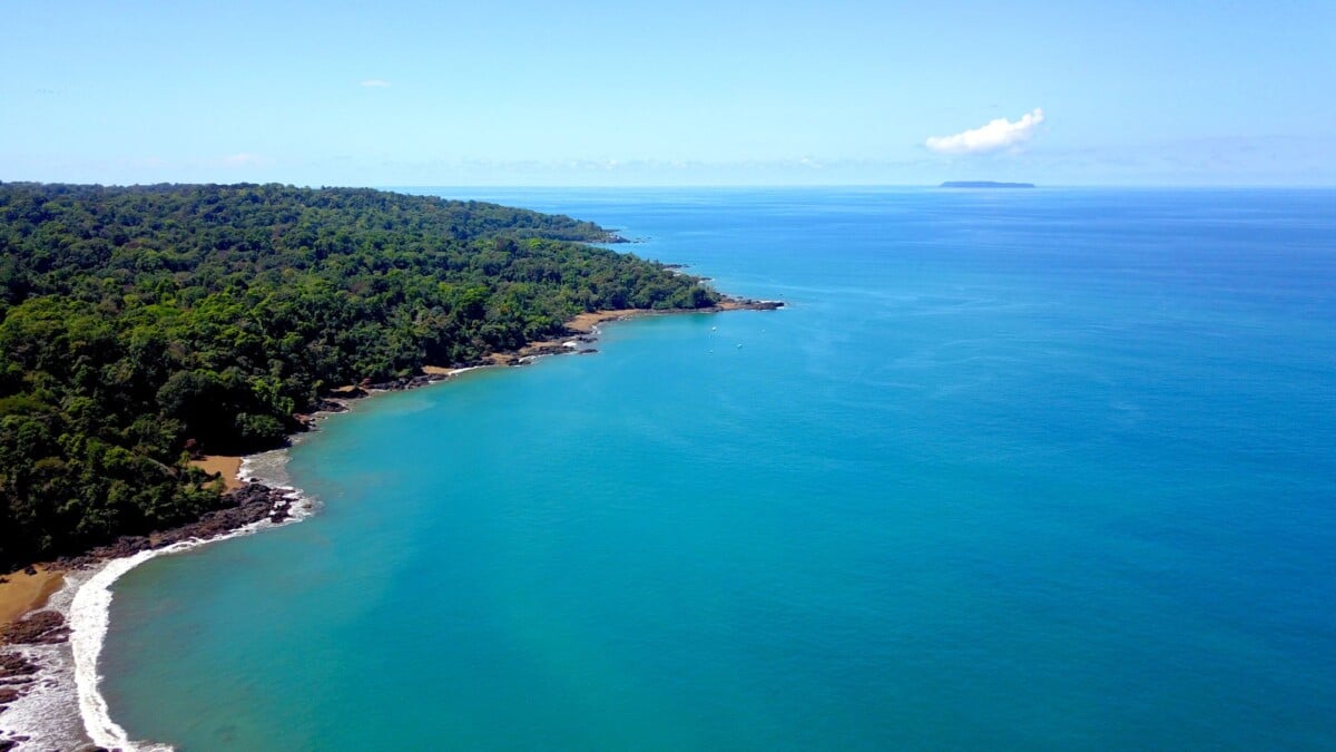 Aerial view of forest meeting the sea at Bahía Drake