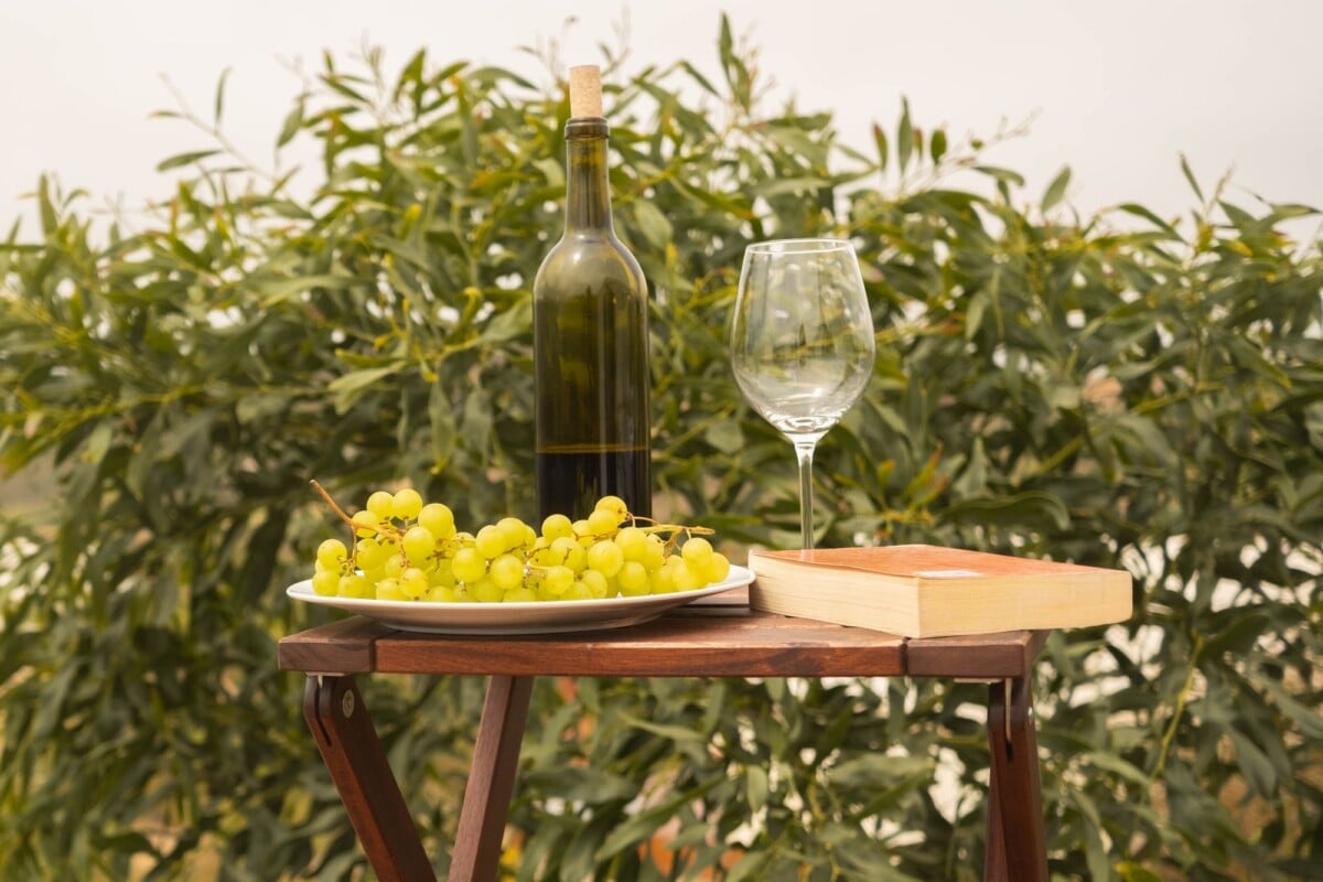 a sophisticated still life featuring a wine bottle glass and grapes outdoors on | Two Scots Abroad A sophisticated still life featuring a wine bottle, glass, and grapes outdoors on a wooden table.