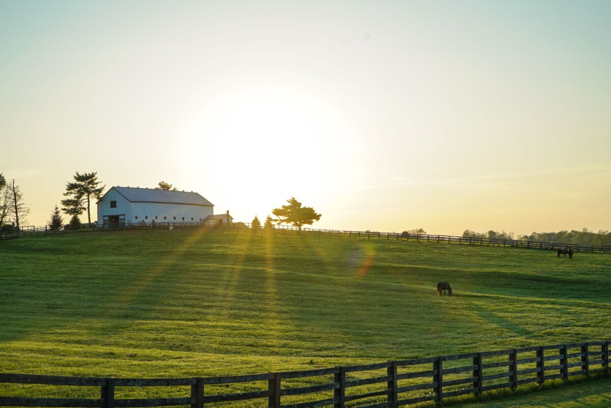 beautiful sunrise illuminating a peaceful kentucky farm with lush green pastures | Two Scots Abroad Beautiful sunrise illuminating a peaceful Kentucky farm with lush green pastures and grazing horses.