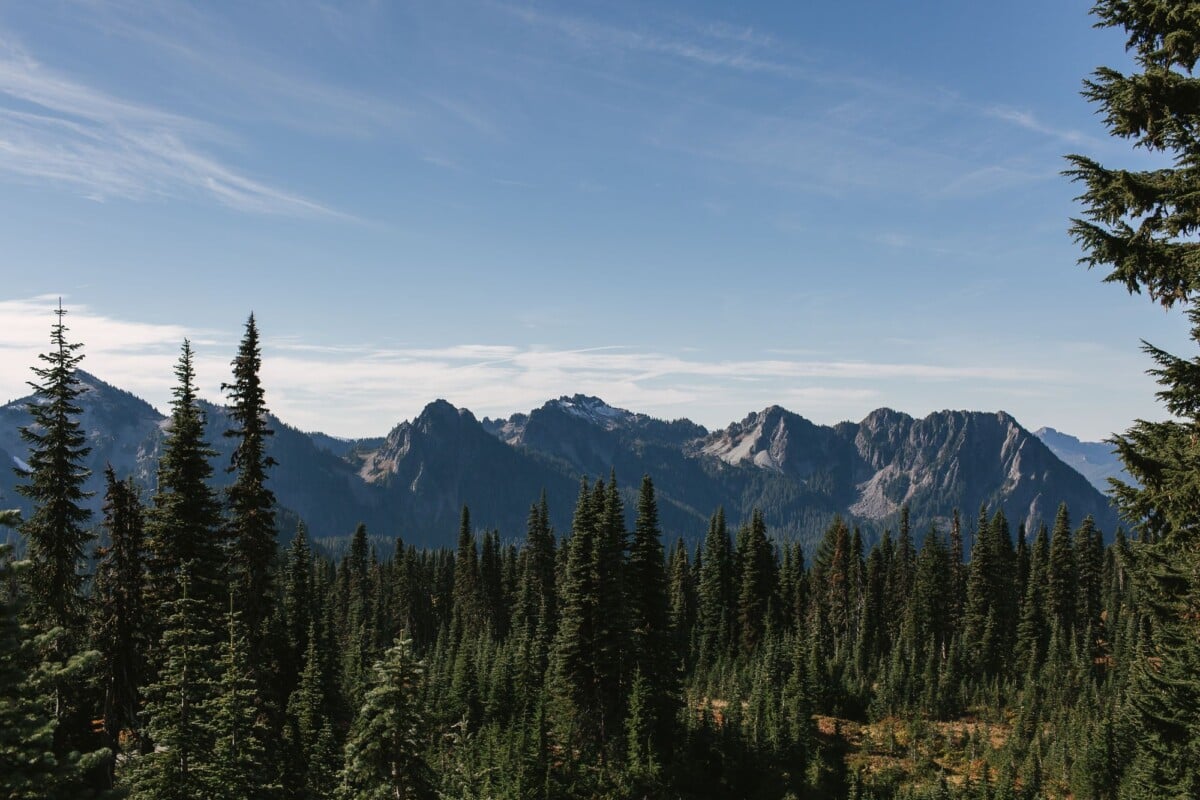 breathtaking view of mount rainier national park with conifer trees and distant | Two Scots Abroad Breathtaking view of Mount Rainier National Park with conifer trees and distant mountain range under a clear blue sky.