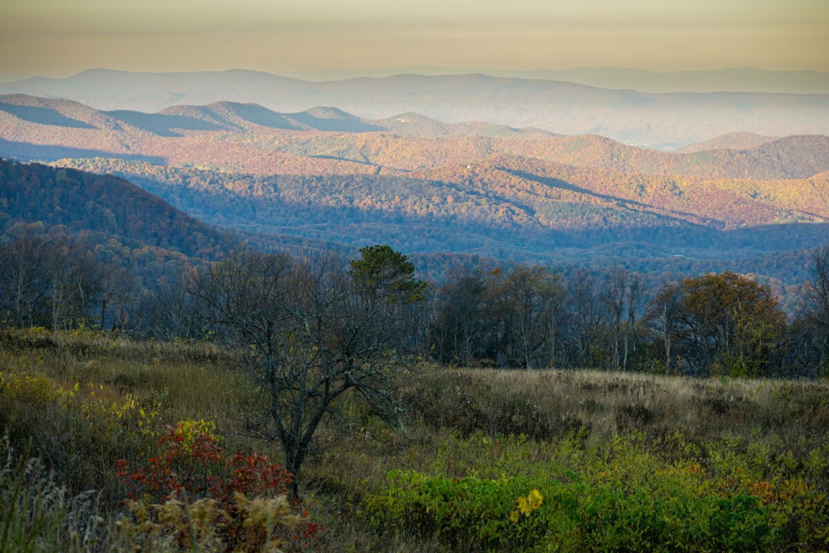 breathtaking view of the blue ridge mountains with autumn colors in virginia usa | Two Scots Abroad Breathtaking view of the Blue Ridge Mountains with autumn colors in Virginia, USA.