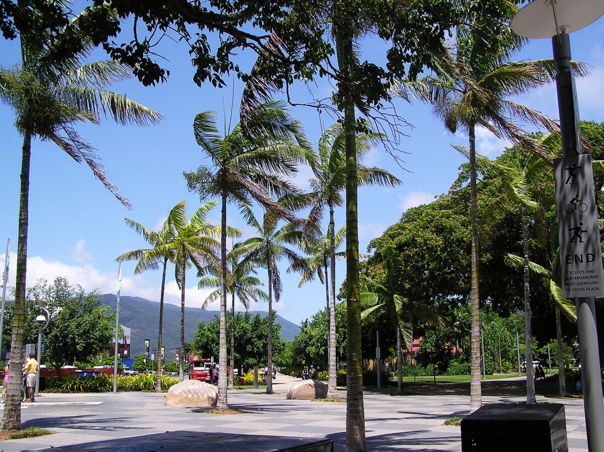 cairns esplanade nearby lagoonl the tropical scenery in northern queensland city | Two Scots Abroad Cairns Esplanade - Nearby Lagoonl: The tropical scenery in northern Queensland city Cairns