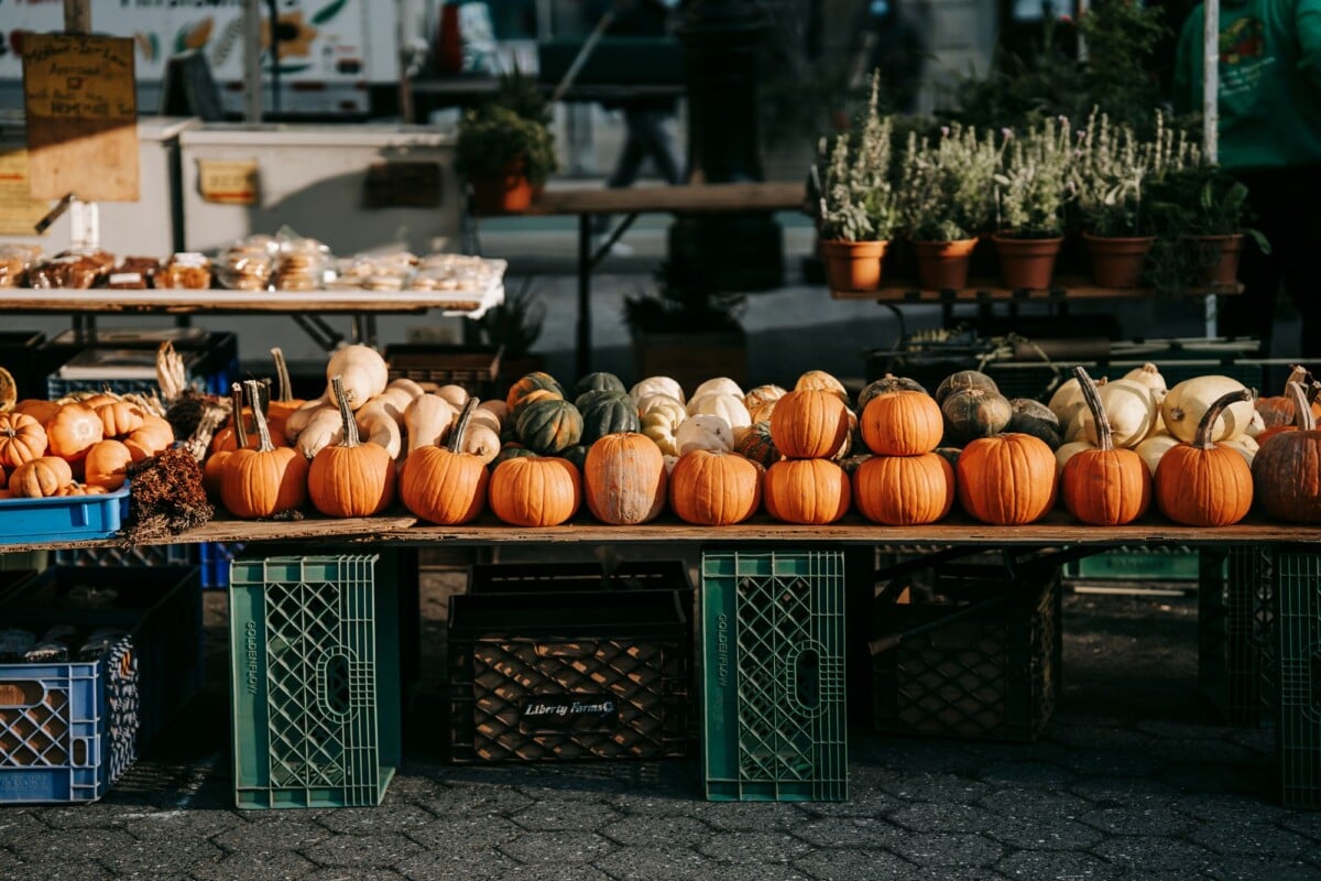 counter of local market with fresh orange pumpkins placed on street in sunny day | Two Scots Abroad Counter of local market with fresh orange pumpkins placed on street in sunny day