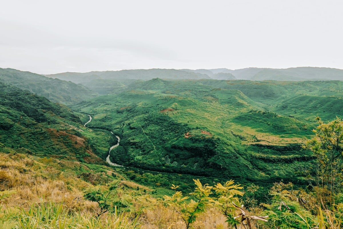 explore the vibrant green landscapes of waimea canyon kauai hawaii | Two Scots Abroad Explore the vibrant green landscapes of Waimea Canyon, Kauai, Hawaii.