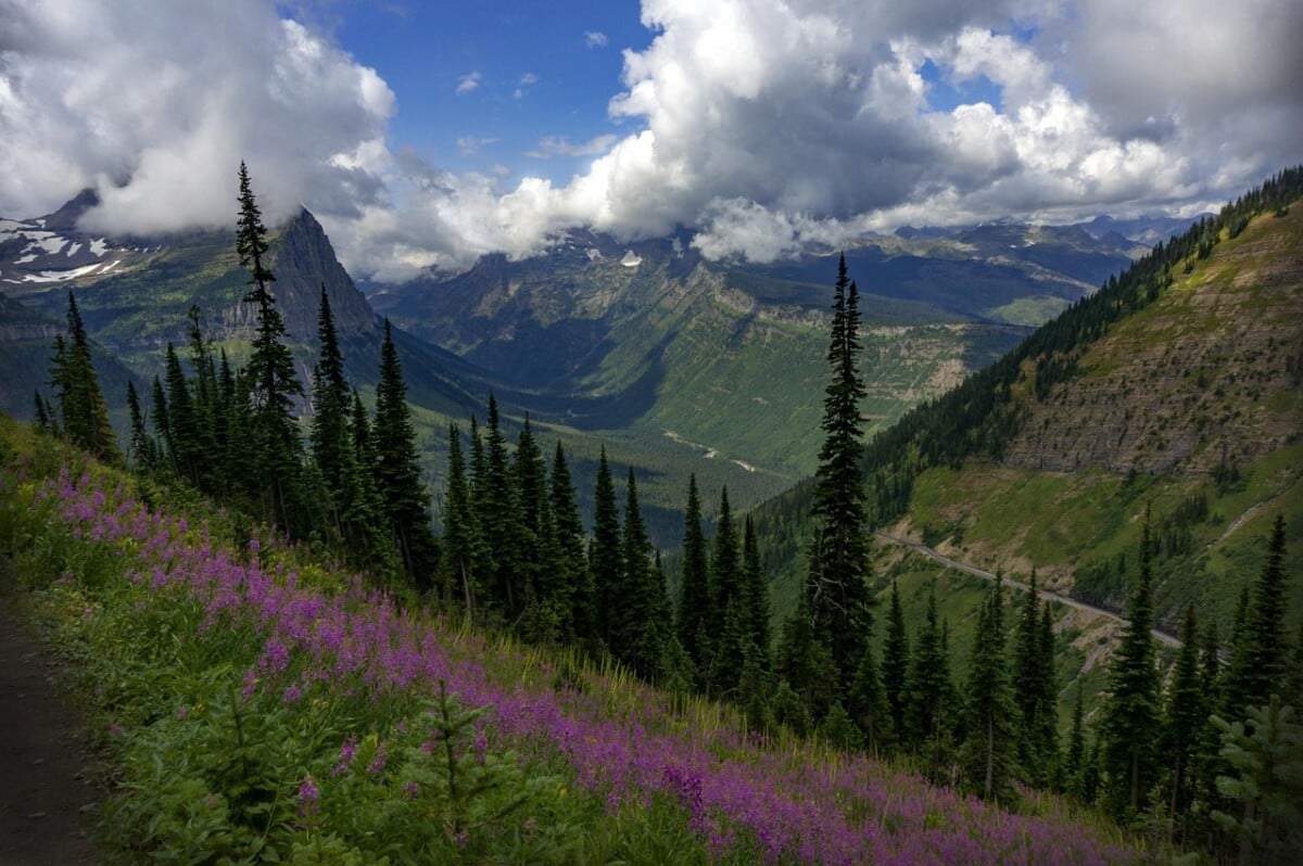 highline trail route from logan pass to the loop route choices | Two Scots Abroad A narrow alpine path crossing a green mountainside above a deep mountain valley
