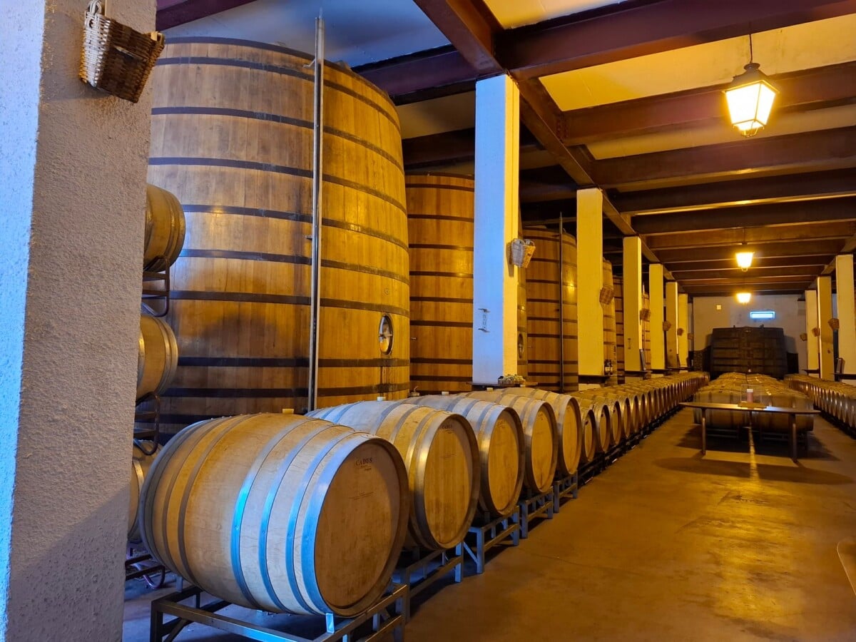 interior view of a winery cellar featuring large wooden barrels for wine storage | Two Scots Abroad Interior view of a winery cellar featuring large wooden barrels for wine storage.