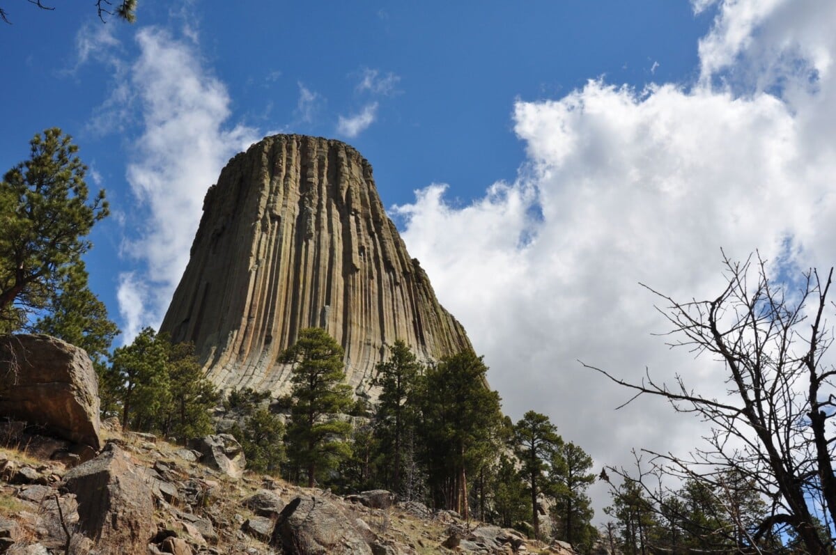 The vertical rock columns of Devils Tower viewed from below
