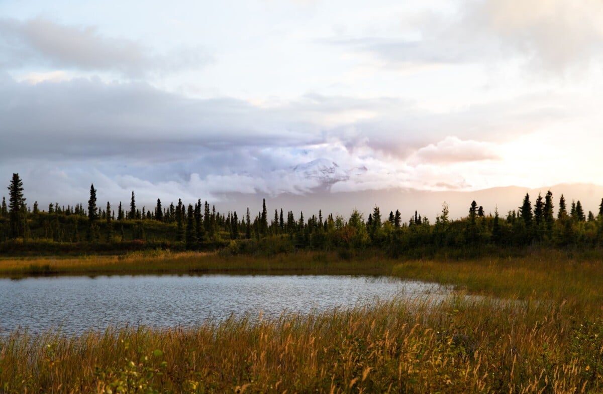 picturesque alaskan landscape featuring a serene lake coniferous trees and cloud | Two Scots Abroad Picturesque Alaskan landscape featuring a serene lake, coniferous trees, and cloudy mountains.
