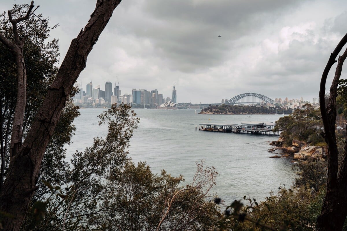 Sydney skyline and Harbour Bridge seen through trees on an overcast day.