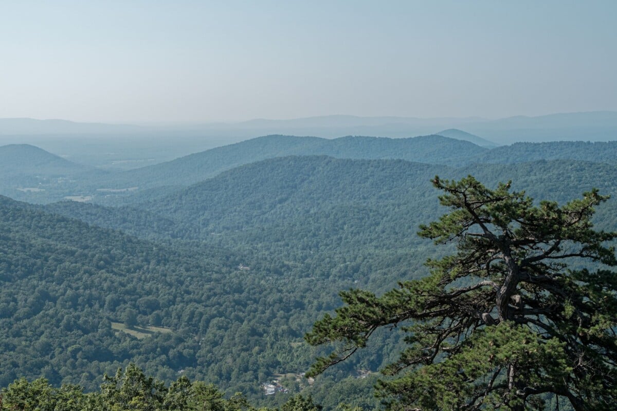 serene view of lush green mountains in shenandoah national park luray va | Two Scots Abroad Serene view of lush green mountains in Shenandoah National Park, Luray, VA.