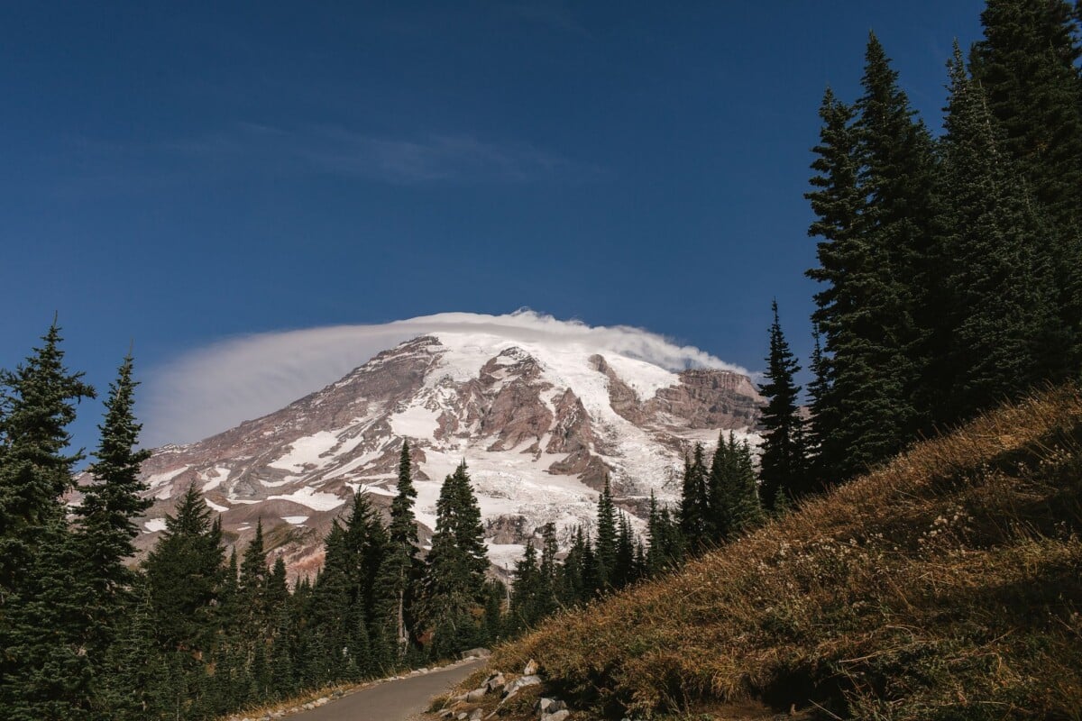 snow capped mount rainier surrounded by evergreen forest under a clear blue sky | Two Scots Abroad Snow-capped Mount Rainier surrounded by evergreen forest under a clear blue sky.